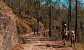 Family-Friendly Hiking Trails: Creating Memories Together