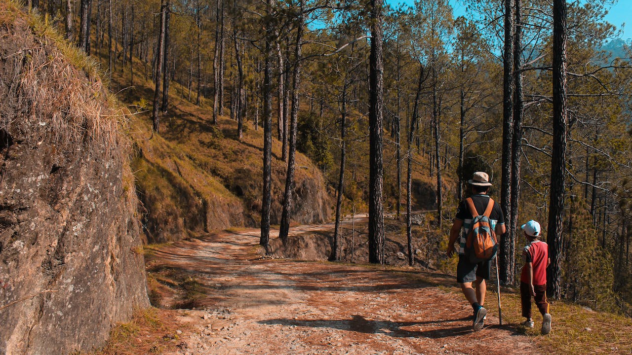 Family-Friendly Hiking Trails