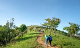 Hiking Etiquette: Respecting Nature and Fellow Hikers