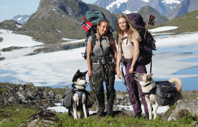 Read more about the article Hiking with Dogs: Tips for an Adventure-Packed Trip