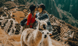 Hiking with Llamas: Unique Companions on the Trail