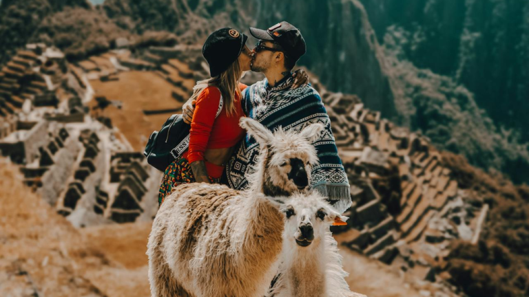 Read more about the article Hiking with Llamas: Unique Companions on the Trail