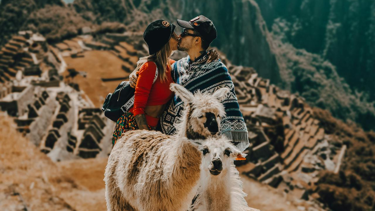 Hiking with Llamas: Unique Companions on the Trail
