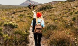 Mindfulness Hiking: Connecting with Nature and Yourself