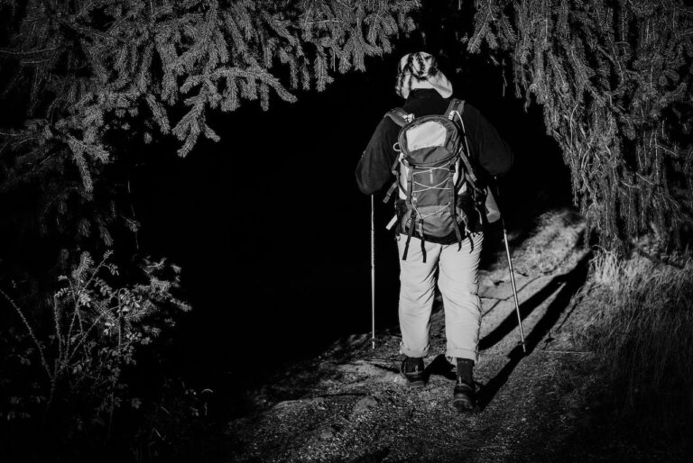 Read more about the article Night Hiking: A Thrilling Adventure Under the Stars