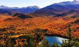 Top Hiking Destinations for Fall Foliage in United States
